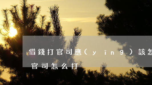 借錢打官司應(yīng)該怎么開(借錢打官司怎么打)