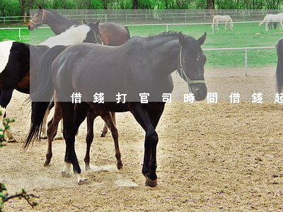 借錢打官司時間(借錢起訴時間)