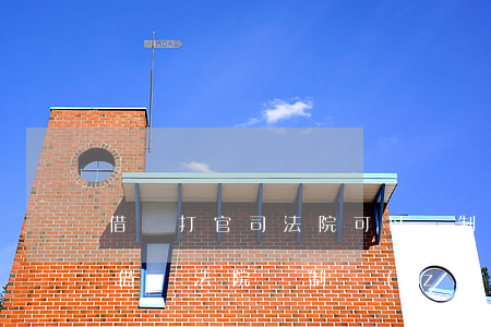 借錢打官司法院可以強制執(zhí)行嗎(借錢法院強制執(zhí)行無力償還)