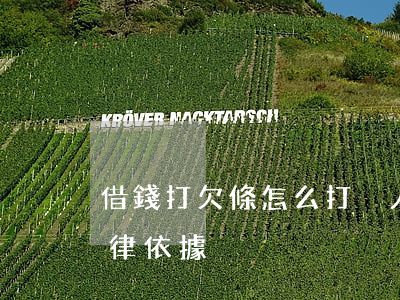 借錢打欠條怎么打(別人借錢怎么打欠條有法律依據)