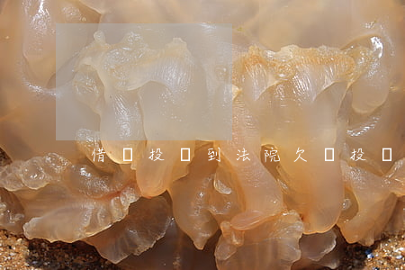 借錢投訴到法院(欠錢投訴)