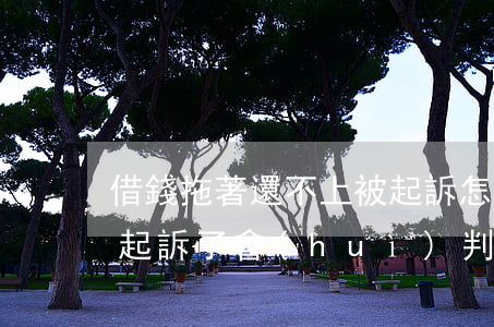 借錢拖著還不上被起訴怎么辦(借錢還不了被起訴了會(huì)判刑么)