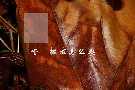 借錢搬家怎么起訴