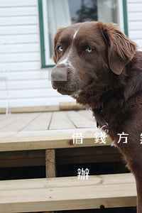 借錢方無力償還(借款人無力償還借款時怎么辦)