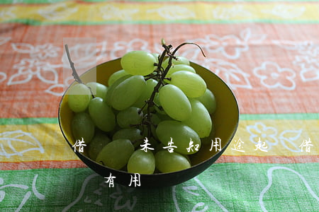借錢時未告知用途起訴(借錢時未告知用途起訴有用嗎)