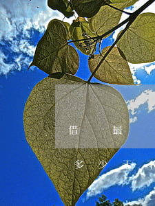 借錢最長可以逾期多少天 借錢最長可以逾期多少天不還