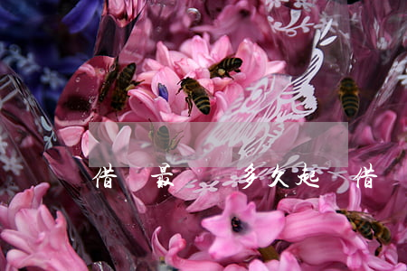 借錢最長過多久起訴(借錢多久不可以起訴)