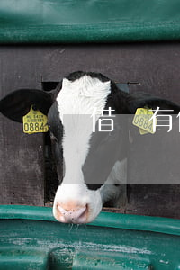 借錢有借條怎么起訴(有借條錢怎么追回來)