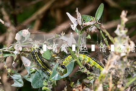 借錢有借條起訴(借錢有借條起訴書怎么寫)