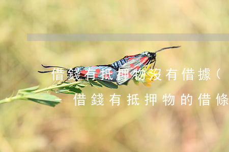 借錢有抵押物沒有借據(jù)可以起訴嗎-借錢有抵押物的借條范本