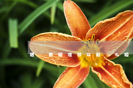 借錢有短信可以起訴么(短信借錢有法律效力)