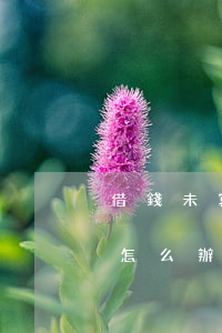 借錢未寫借條怎么起訴 借錢沒寫欠條不還該怎么辦