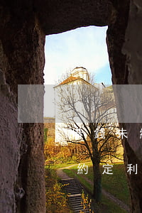 借錢未約定利息起訴可以要利息么-借錢未約定利息起訴可以要利息么嗎