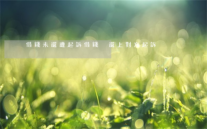 借錢未還遭起訴(借錢沒還上對方起訴)