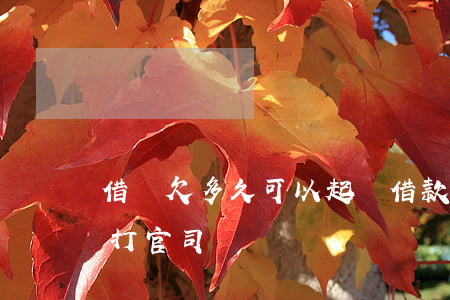 借錢欠多久可以起訴(借款多久不還可以起訴打官司)