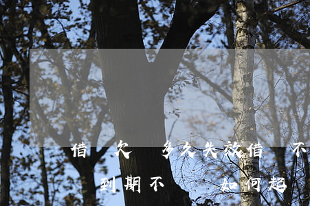 借錢欠條多久失效借錢不還起訴費怎么收(借條到期不還錢如何起訴)