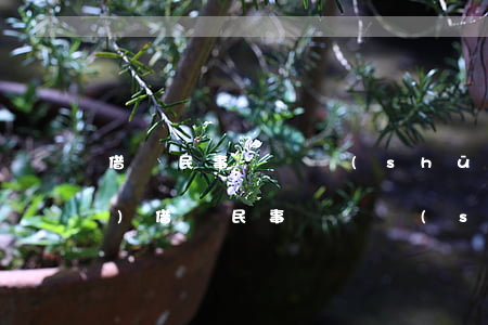 借錢民事訴訟書(shū)怎么寫(xiě)(借錢民事訴訟書(shū)怎么寫(xiě))