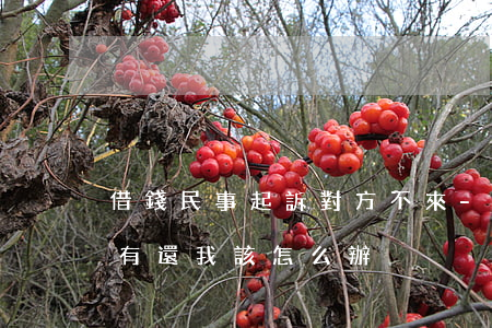 借錢民事起訴對方不來-對方借錢起訴后沒有還我該怎么辦