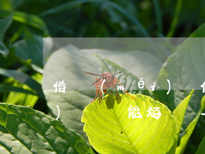 借錢沒(méi)寫借條有轉(zhuǎn)賬記錄能起訴嗎-借錢沒(méi)寫借條有轉(zhuǎn)賬記錄能起訴嗎有效嗎