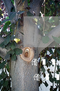 借錢沒(méi)得還對(duì)方起訴(借錢沒(méi)得還對(duì)方起訴我怎么辦)