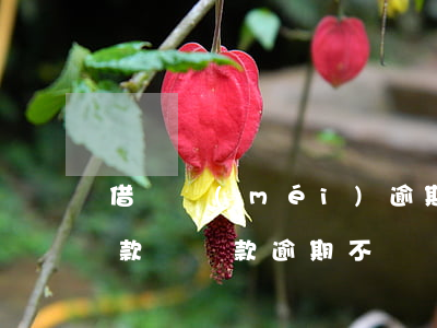借錢沒(méi)逾期會(huì)影響貸款嗎(貸款逾期不還會(huì)有什么影響)