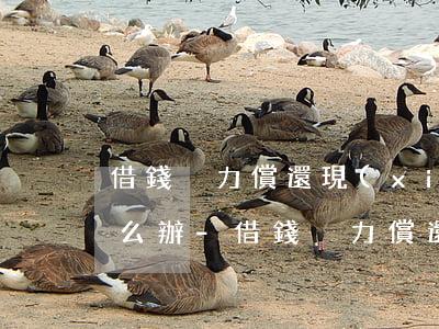 借錢沒力償還現(xiàn)在被起訴了怎么辦-借錢沒力償還現(xiàn)在被起訴了怎么辦呢