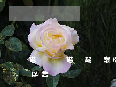 借錢沒寫借條起訴案例(借錢沒寫借條不還可以告詐騙嗎)