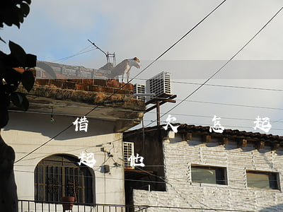 借錢沒寫欠條怎樣起訴-借錢沒寫欠條怎樣起訴他