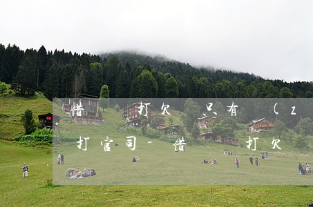 借錢沒打欠條只有轉(zhuǎn)賬記錄打官司-借錢沒打欠條只有轉(zhuǎn)賬記錄打官司有用嗎