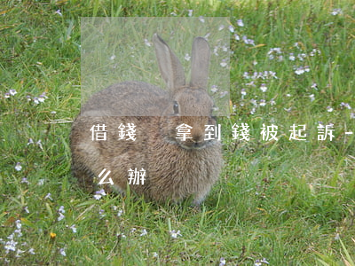 借錢沒拿到錢被起訴-借錢被起訴沒錢還怎么辦