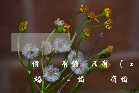 借錢沒有借條只有轉(zhuǎn)賬可以起訴嗎-借錢沒有借條只有轉(zhuǎn)賬可以起訴嗎有效嗎