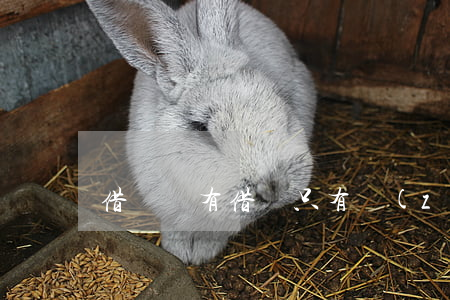 借錢沒有借條只有轉(zhuǎn)賬能起訴嗎