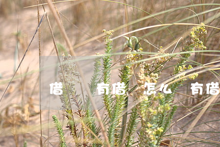 借錢沒有借條怎么辦(有借條但是不還錢怎么辦)