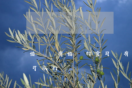 借錢沒有借條打官司(沒有借條的借款打官司可以打贏嗎)