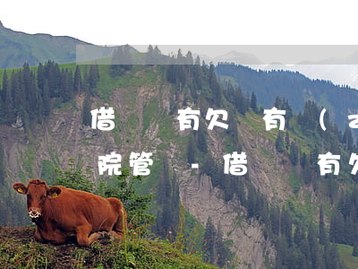 借錢沒有欠條有轉(zhuǎn)賬記錄法院管嗎-借錢沒有欠條有轉(zhuǎn)賬記錄法院管嗎怎么辦