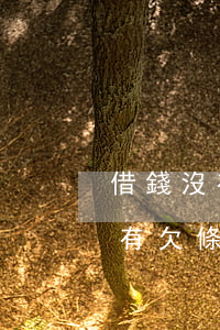 借錢沒有欠條超過三年可以起訴嗎-借錢沒有欠條超過三年可以起訴嗎法院