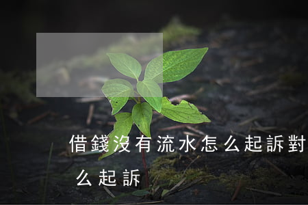 借錢沒有流水怎么起訴對方（借錢沒有流水怎么起訴）