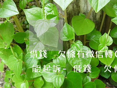 借錢沒欠條有微信轉(zhuǎn)賬記錄能起訴-借錢沒欠條有微信轉(zhuǎn)賬記錄能起訴嗎