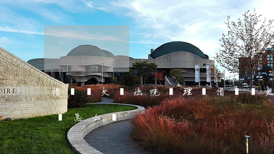 借錢沒欠條法院審理嗎(借錢沒欠條法院審理嗎怎么辦)