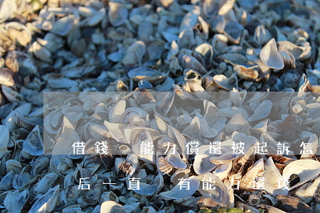 借錢沒能力償還被起訴怎么辦(借款人被起訴后一直沒有能力還錢)
