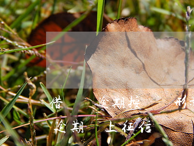 借錢沒逾期按時還形影響征信嗎-借了錢沒逾期會上征信嗎