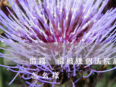 借錢沒還被幾個法院起訴 借款沒還被起訴會怎么樣