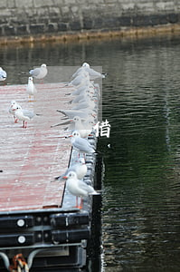 借錢沒錢了可以起訴嗎