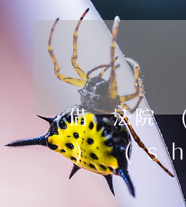 借錢法院執(zhí)行最長(zhǎng)時(shí)限(借貸在法院申請(qǐng)強(qiáng)制執(zhí)行最長(zhǎng)時(shí)間多久)