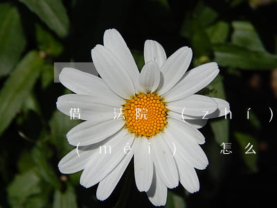 借錢法院執(zhí)行過(guò)后沒(méi)錢怎么辦(借款法院執(zhí)行不下來(lái)怎么辦)
