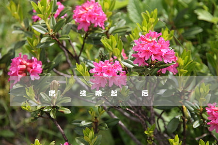 借錢法院起訴后