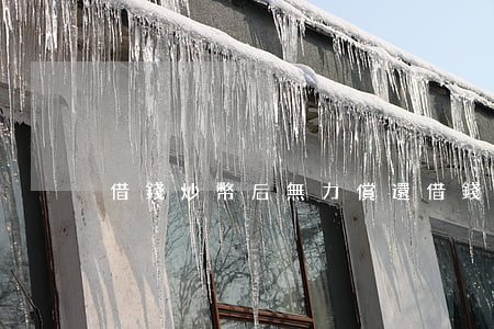 借錢炒幣后無力償還(借錢炒幣虧光)