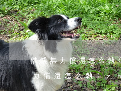 借錢無力償還怎么執(zhí)行-借錢無力償還怎么執(zhí)行呢