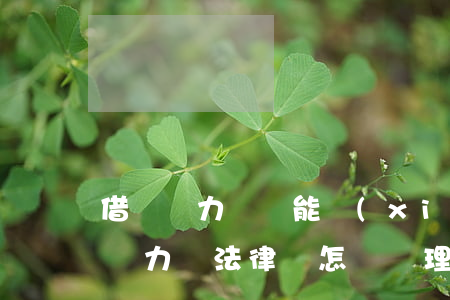借錢無力償還能協(xié)商嗎(如果借錢無力還,法律會怎樣處理免費(fèi)咨詢)