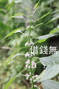 借錢無力償還能起訴嗎(借錢無力償還會(huì)坐牢嗎)